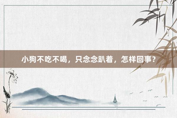 小狗不吃不喝，只念念趴着，怎样回事？